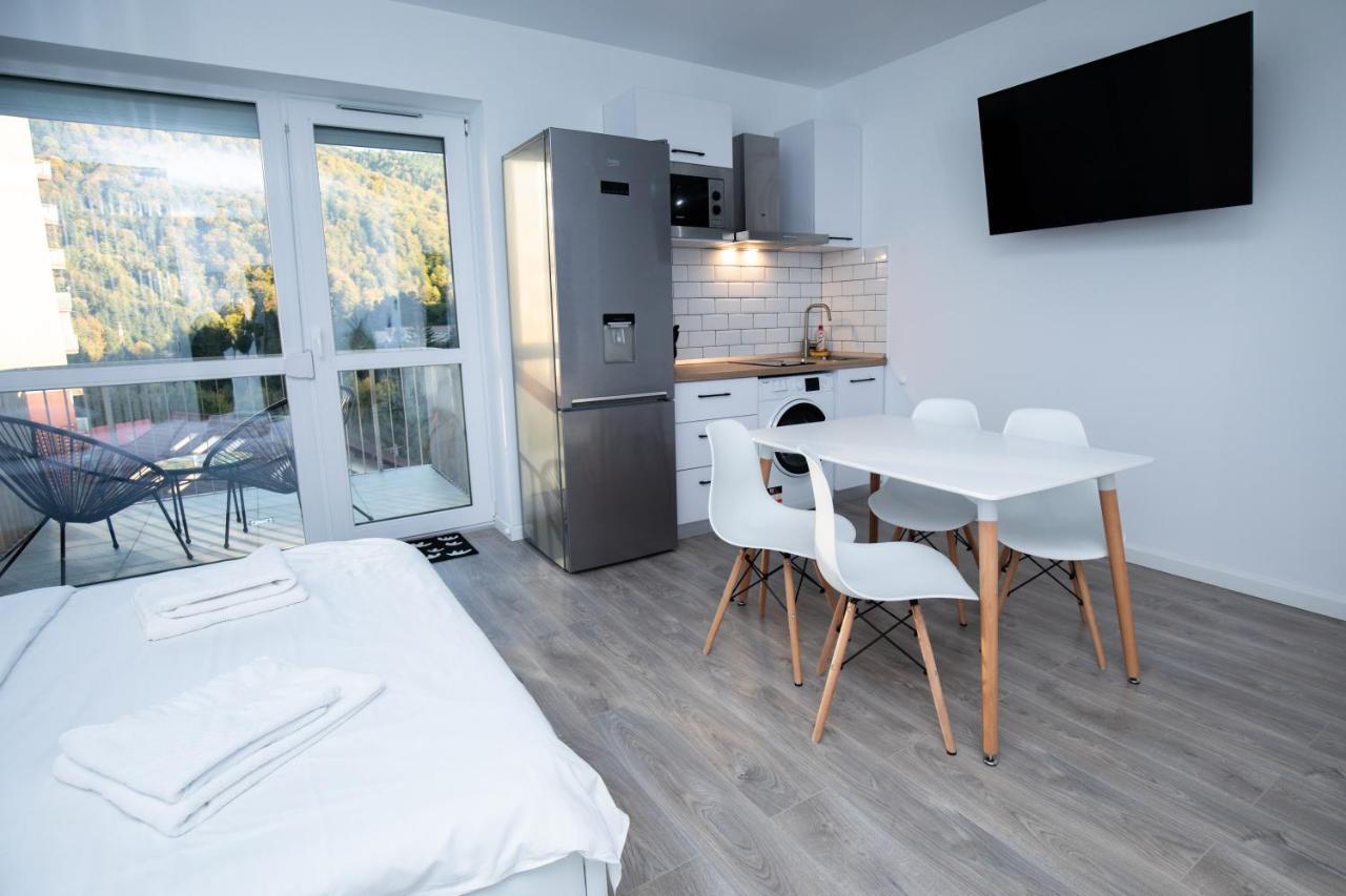 Cozy Studio 4 People With Parking Sinaia Exterior foto