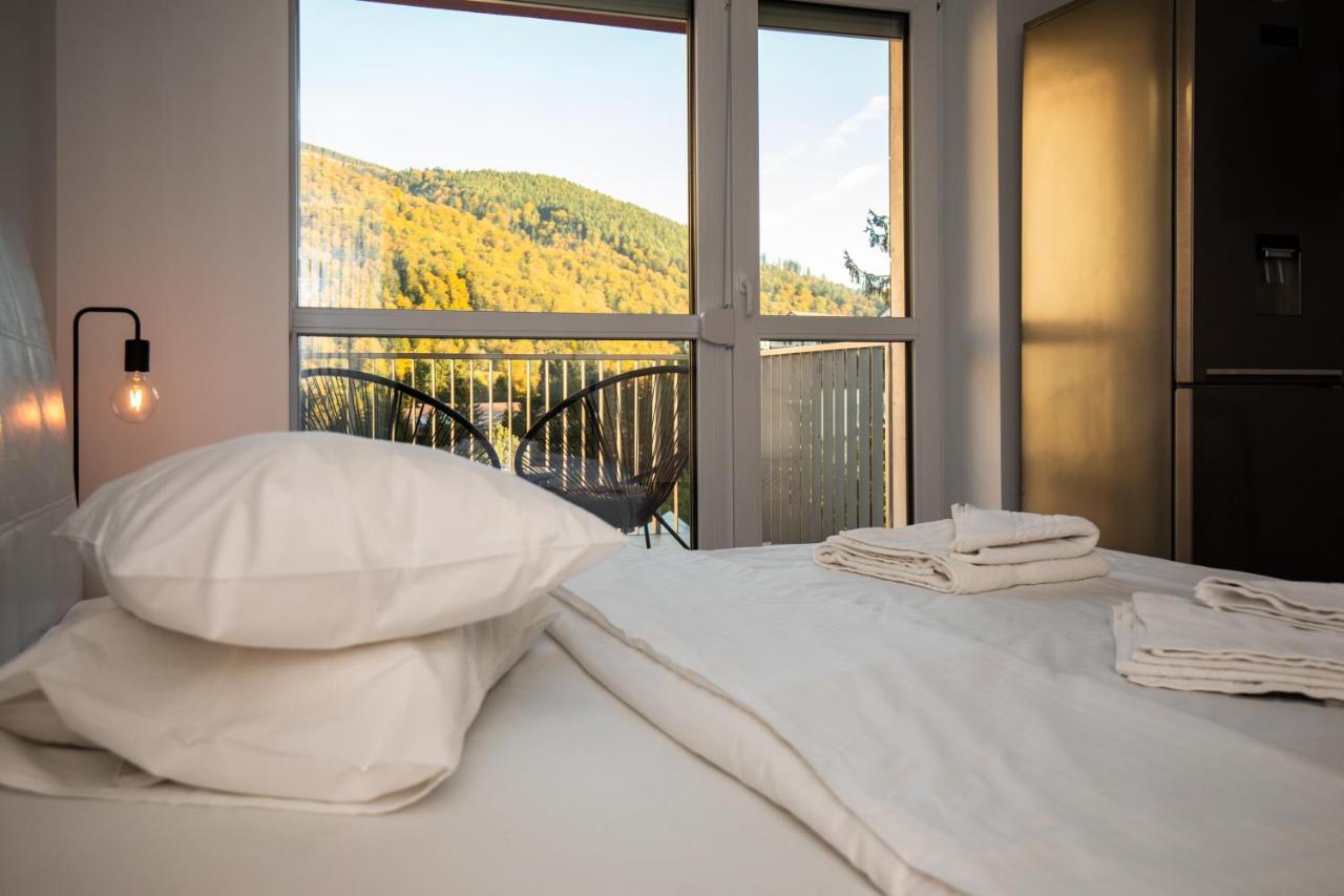 Cozy Studio 4 People With Parking Sinaia Exterior foto