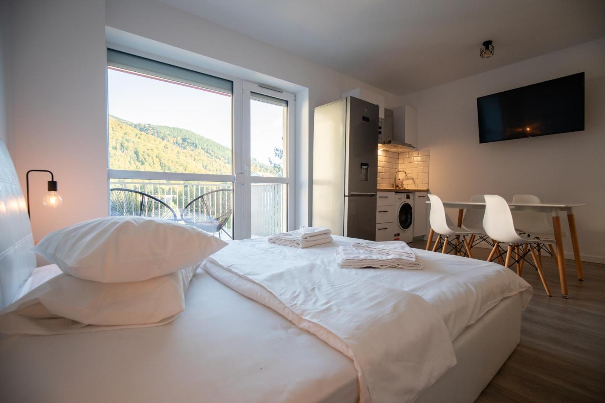 Cozy Studio 4 People With Parking Sinaia Exterior foto